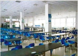 河南微笑餐饮管理公司闪耀中国食品春晚，荣膺优秀品牌彰显卓越管理